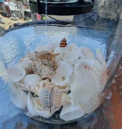 Apartment Seashore 5